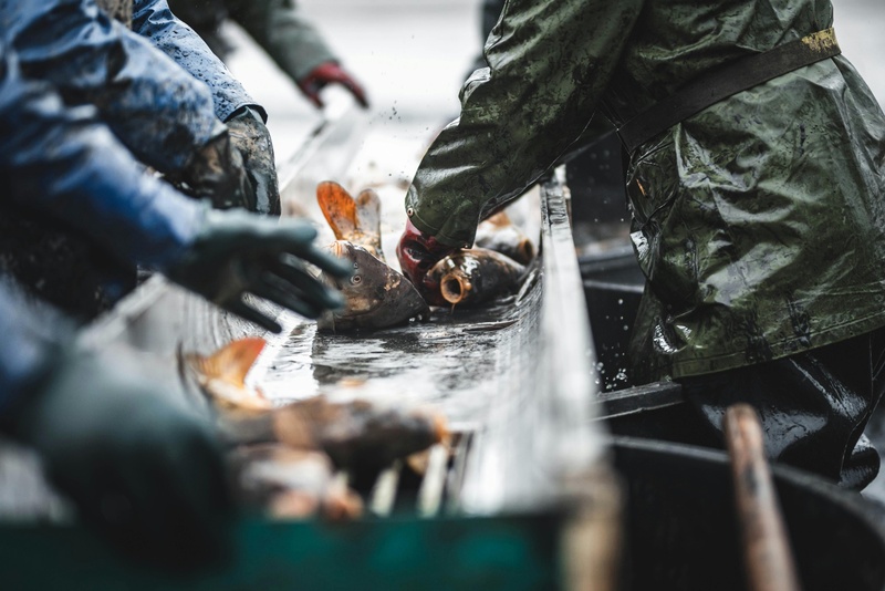 Quality & compliance